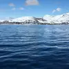 Daniel Frandsen - @danielfrandsen25 - TikTok