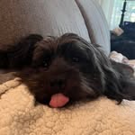 Dan Franks - @dansohappy - Instagram