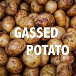 Dan Franks - @gassedpotato - Instagram