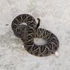 Dean Fraser - @dna_reptiles - TikTok