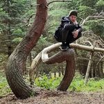 Dan Frederiksen - @gangdanthe - Instagram