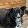 Danfredsdad - @danfredsdad - TikTok