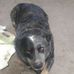 Dan Freeland - Facebook