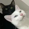 Daniel Friedel - @daniel.friedel2 - TikTok