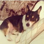 dan friel - @danielfreil - Instagram