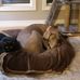 Dan Friel - Facebook