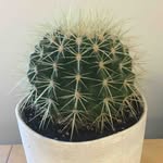 Dan Fritchman - @dan_fritchman - Instagram