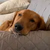 Dana - @danafritch - TikTok