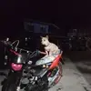 danfritch - @danfritch - TikTok