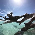 Dan Gaines - @danrgaines - Instagram