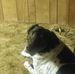 Dan Gaines - Facebook