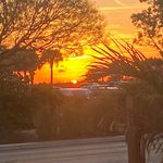 Dan Gall - @dan.gall.524 - Instagram