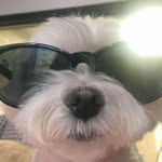 @dangameze - Instagram