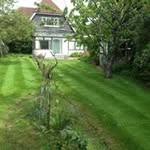 Dan Gardening - @dangardening - Instagram