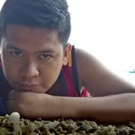 Dan dannn - @dangaribay_01 - Instagram