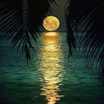 Dan Garneau - @danielray1962 - Instagram