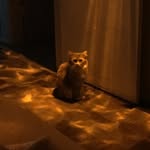 Dan Garrett - @seattle1202 - Instagram