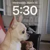 dangarrett64 - @dangarrett64 - TikTok