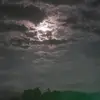 Dan Garrity252 - @user8816804411827 - TikTok