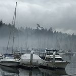 Dan garrity - @dekeonbc - Instagram