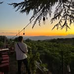 Dan Garrity - @dannnyg369 - Instagram
