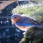 dan.garrity.58 - @dan_garrity__ - Instagram