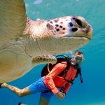 Dan Gartenfeld - @dangartenfeld - Instagram