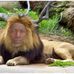 Dan Gaske - Facebook