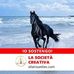 Dan Gaspar - Facebook