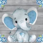 Dani Gass - Facebook