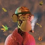 Dan Gaston - @dan1236270 - Instagram
