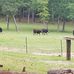 Dan Gately - Facebook