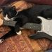 Dan Gatz - Facebook
