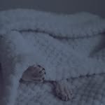 @dangaus_ - Instagram