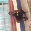 DANCAN GEDEON - @dancangedeon - TikTok