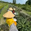 Nông Dân GenZ 🌱 - @nongdan_genz - TikTok