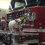 Dan Gerber - @gerberdan - Instagram