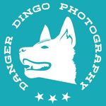Allison Dedden - @dangerdingophotography - Instagram