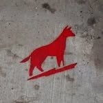 @dangerdingo - Instagram