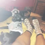 Danger🐕 - @danger.ig - Instagram