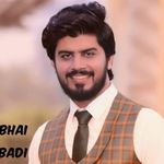 Punjabi Arslan Shok - @dangerkennel - Instagram