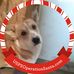 Dan Gerlach - Facebook