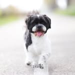 Danger 🐾 - @danger_schalk - Instagram