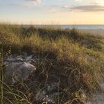 dangetty - @dangetty1 - Instagram
