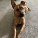 Dan Getz - Facebook