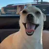 Danny Geyer - @danny.geyer3 - TikTok