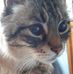 Daniela Giacomini - Facebook