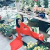 Dần Giáp - @graduallyprice - TikTok