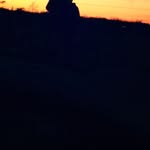 Dan Gibbs - @dangibbs4 - Instagram