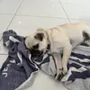Daniel - @daniel.gibney - TikTok
